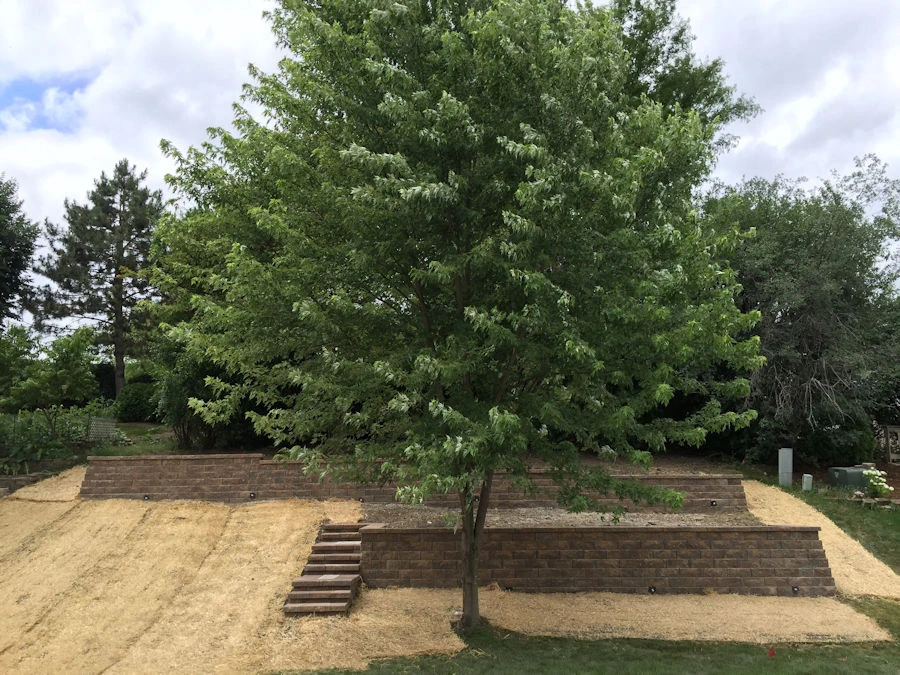 Finished segmental block retaining wall integrated with pool deck landscaping and lighting in Dacula, GA